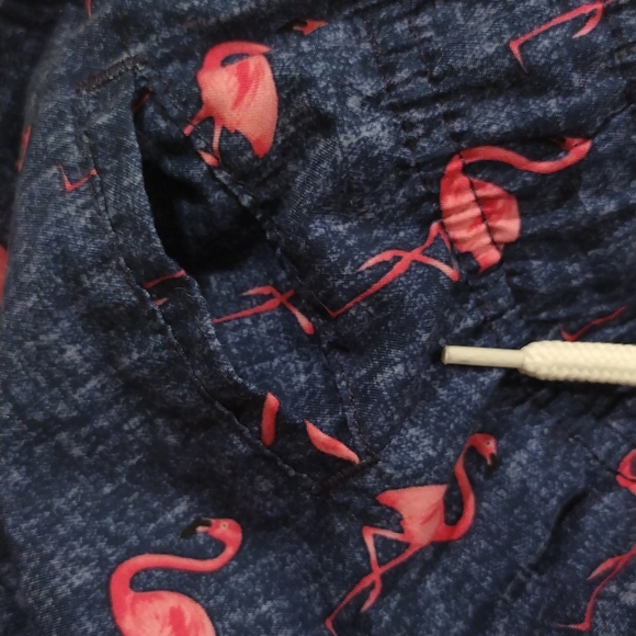 Flamingo Trunks Men's Swim Shorts - Picture 4 of 7